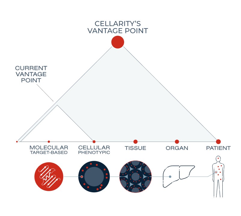 Cellarity vantage point